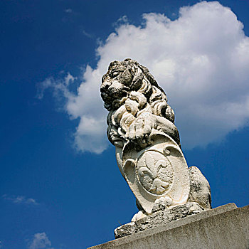 雕塑,狮子,装饰,家,入口,奥弗涅,法国,欧洲