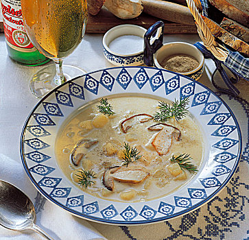 南,波希米亚风格,蘑菇汤,捷克共和国,烹饪