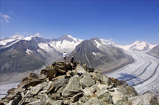 冰河,世界遗产,少女峰,区域,瓦莱,瑞士