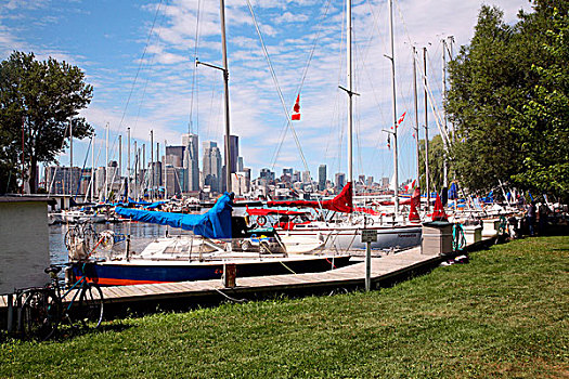 帆船,码头,天际线,背景,多伦多,岛屿,安大略湖,安大略省,加拿大