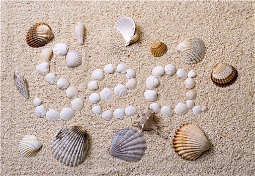 海洋,壳,珊瑚,沙子