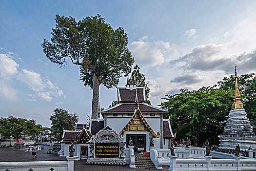 泰国清迈古城契迪龙寺,wat,chedi,luang,偏殿