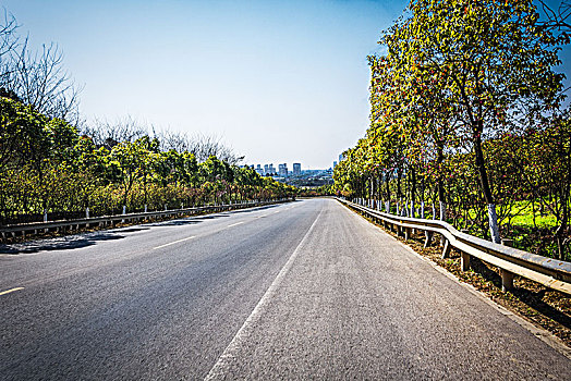 道路,阿尔卑斯山