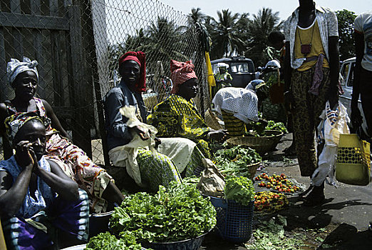 冈比亚,班珠尔,市场一景