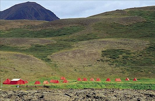 红色,帐篷,露营,米湖,冰岛,欧洲
