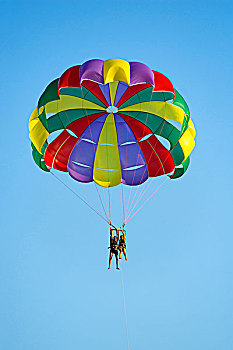 彩色,滑翔伞