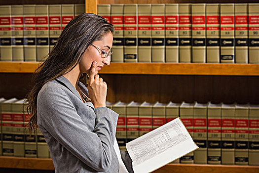 律师,读,法律,图书馆