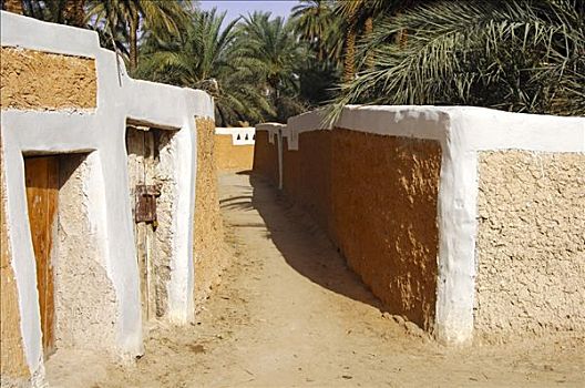 道路,老城,加达梅斯,世界遗产,利比亚