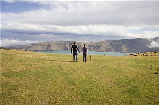 伴侣,握手,户外,班克斯半岛,新西兰