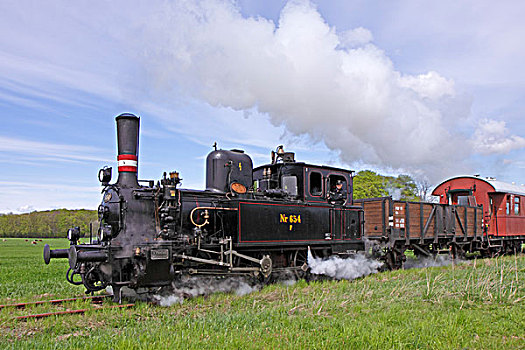 蒸汽,铁路,石荷州,德国,欧洲
