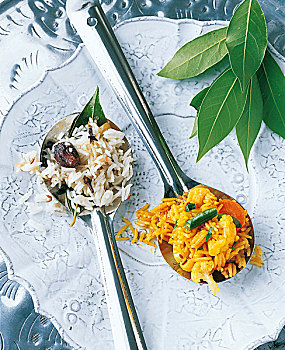 米饭,蔬菜,调味品,勺子,印度