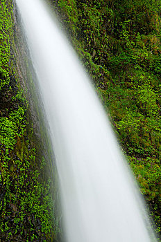 瀑布,树林,胡德山,国家森林,哥伦比亚河峡谷国家风景区,俄勒冈,美国