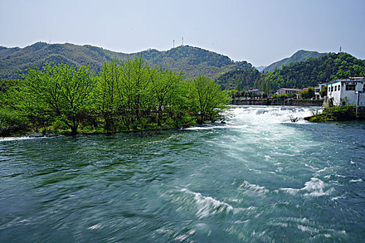 山水,溪流,流水,绿树