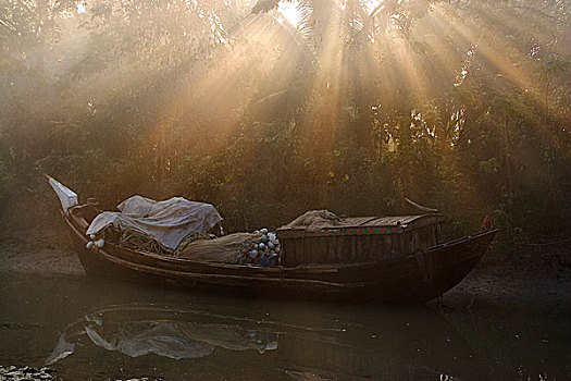 船,祥和,渔网,木豆,红点鲑,孟加拉,一月,2008年