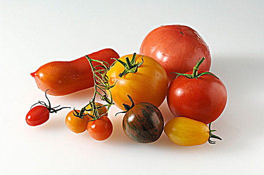 多样,品种,西红柿