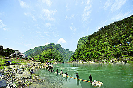 湘江岸边的民居山色和鸬鹚