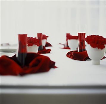 桌子,白色,红色,康乃馨