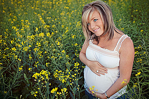 肖像,怀孕,女青年,拿着,腹部,黄色,野花,艾伯塔省,加拿大
