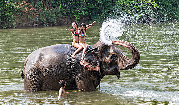 大象,飞溅,两个,旅游,水,北碧府,省,中心,泰国,亚洲