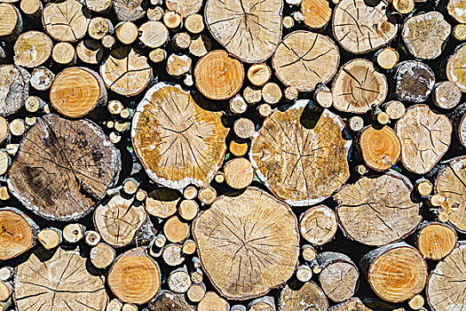 堆,木头,原木,不同,尺寸,形状