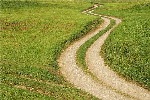 道路,草地,德国