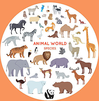 动物,物种,矢量,风格,大,收集,哺乳动物,不同,地理,大陆,野生,驯服,草食动物,食肉动物,鸟,插画,隔绝,白色背景,世界