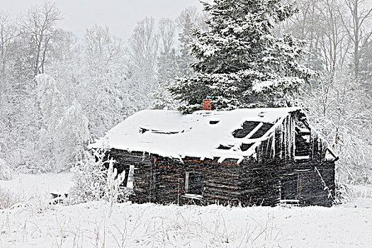 小屋,暴风雪