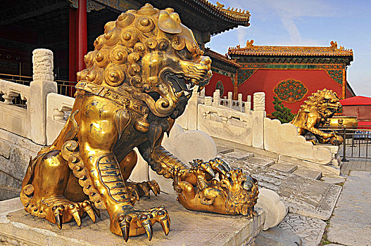 监护,狮子,正面,三个,宫殿,故宫,北京,中国