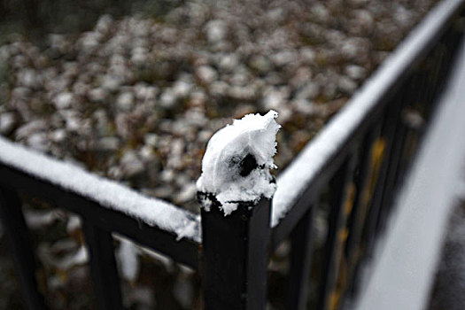 初雪