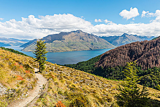 风景,瓦卡蒂普湖,徒步旅行,奥塔哥,南岛,新西兰,大洋洲