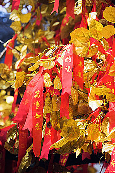 带,装饰,树上,春节,节日,上海,中国