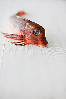 红色,鲂鱼,鱼肉