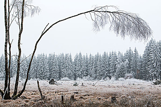 冬季风景,黑森州,德国,欧洲