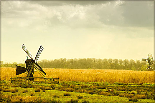 风车,地点,荷兰,一个,老,新