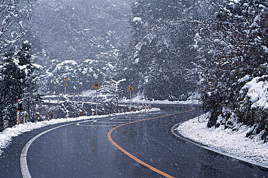 日本,冈山,积雪,道路