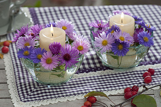 小,灯笼,花,紫苑属,白色,木头
