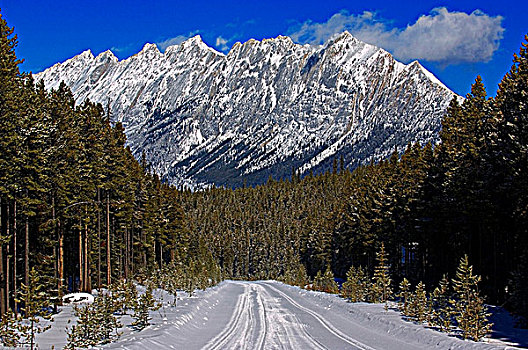 积雪,道路,齿状,山脊,碧玉国家公园,艾伯塔省,加拿大