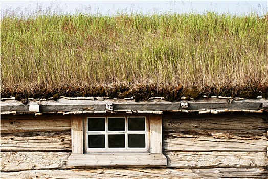 屋舍,绿色,屋顶