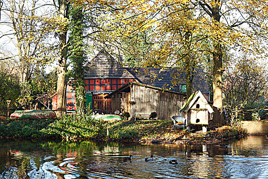 半木结构房屋,秋天,下萨克森,德国,欧洲
