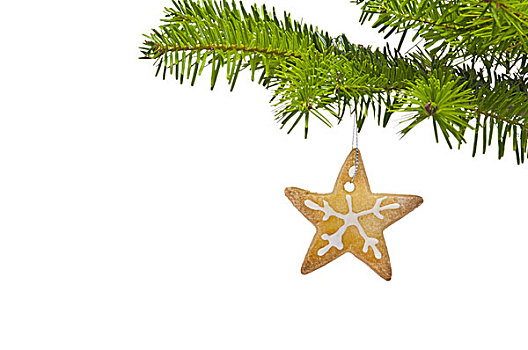 枝条,圣诞树,装饰,饼干