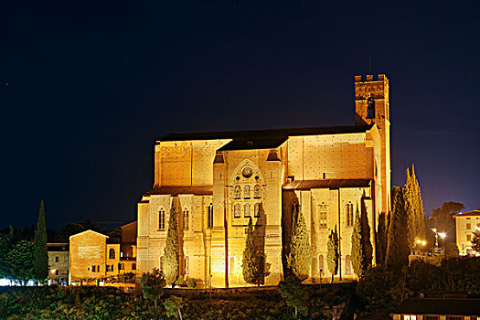 大教堂,老,中世纪,城镇,锡耶纳,夜晚,意大利