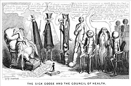 疾病,鹅,19世纪,讽刺,嗄嗄叫,博士,专利,医疗,艺术家