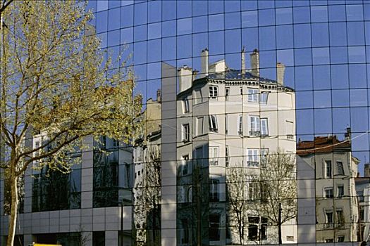 法国,里昂,建筑,反射,窗户