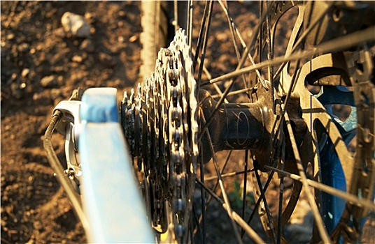 自行车,齿轮