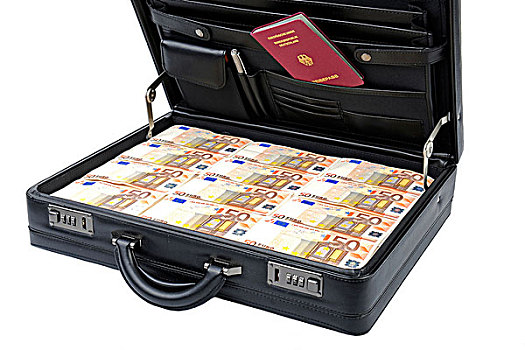 手提箱,满,钱,50欧元,钞票,德国护照,象征,图像,税,躲避