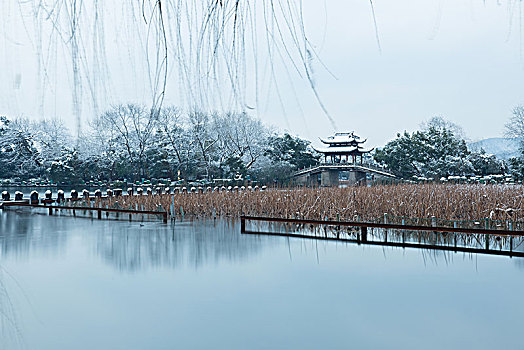 杭州西湖曲院风荷雪景