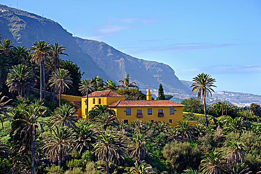 宅邸,特内里费岛,加纳利群岛,西班牙,欧洲