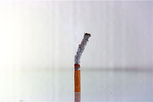香烟,燃烧,生活,概念