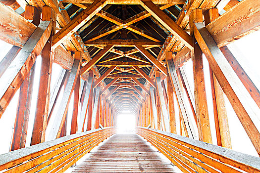 木桥,阳光,发光,结束,金色,不列颠哥伦比亚省,加拿大