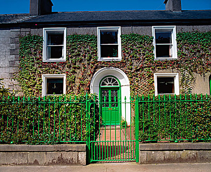 爱尔兰,乔治时期风格,房子
